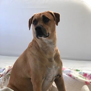 Meet your Posher, Rosemary